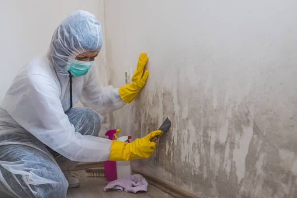 Water Damage Restoration in Kitsap Lake, WA