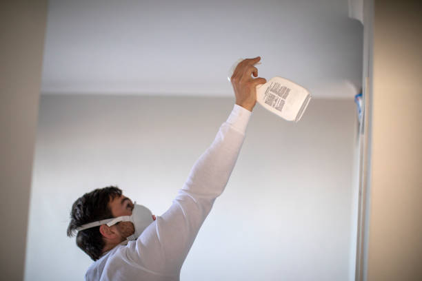 Professional Mold Removal in Kitsap Lake, WA