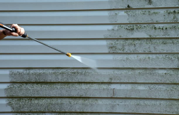 Best Commercial Mold Removal  in Kitsap Lake, WA